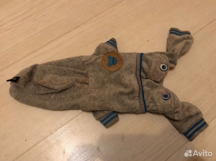 Костюм на маленькую собаку