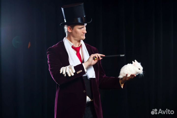 Фокусник иллюзионист на праздник