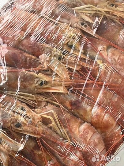 Лангустины креветки