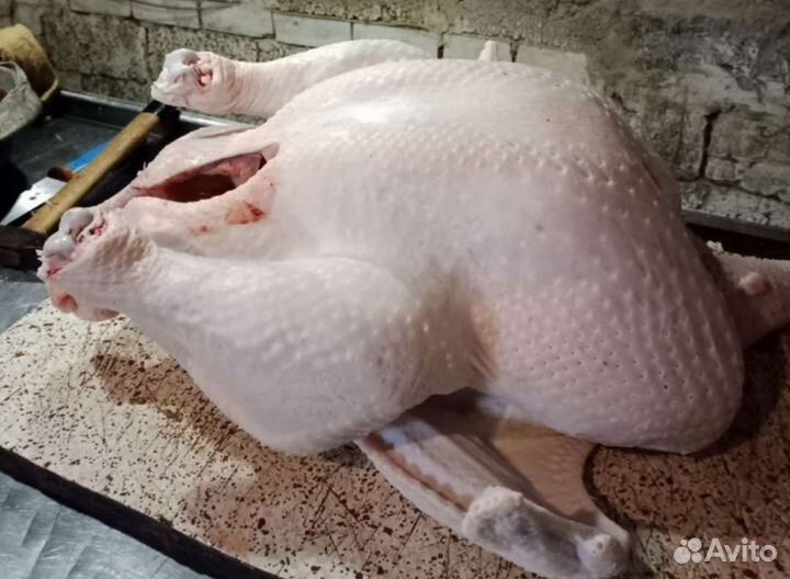 Мясо индейки