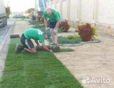 Газон рулонный гарантия