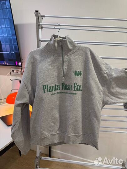 Planta rosa анорак