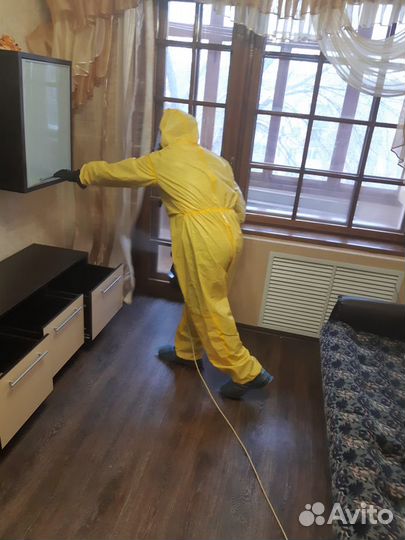 Уничтожение клопов тараканов блох муравьев клещей