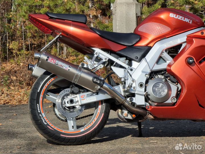 Suzuki SV1000S