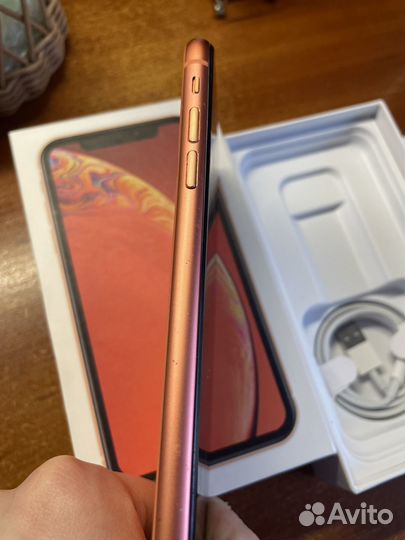 iPhone Xr, 128 ГБ