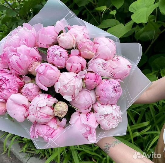 Пионы Розы Доставка