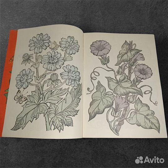 Волшебные картинки.В лесу и в саду