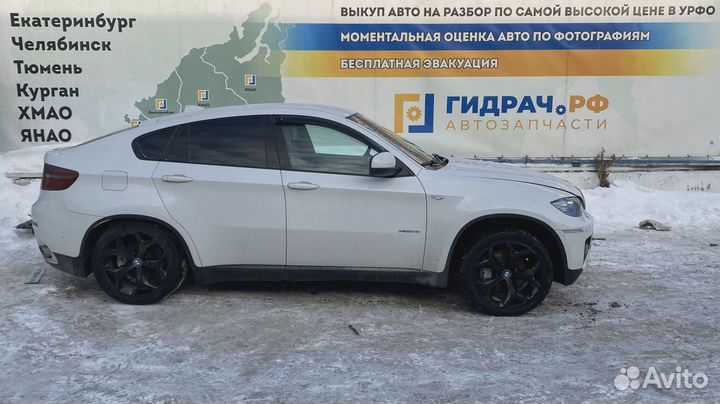 Плафон салонный BMW X6 (E71) 61319183011