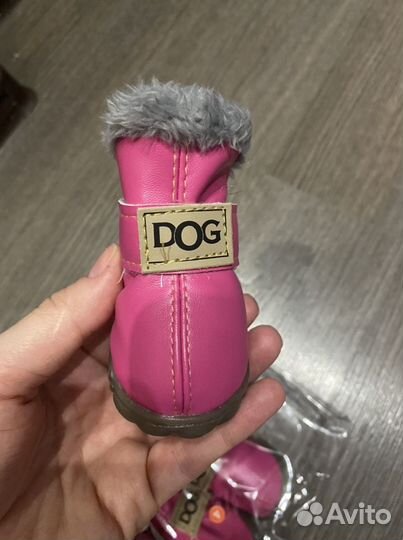 Зимняя обувь для собаки