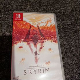 Tes V Skyrim Nintendo switch