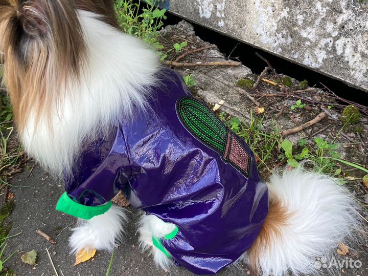Одежда для собак «Фифа»