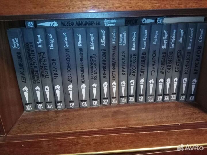 Книги из серии жзл