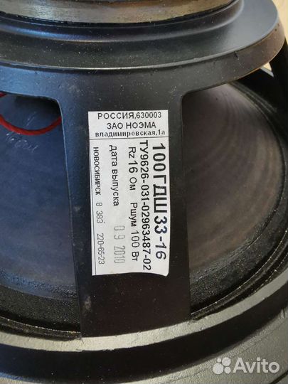 Динамик Ноэма 100гдш33-16