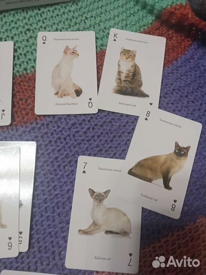 Игральные карты сувенирные Кошки России