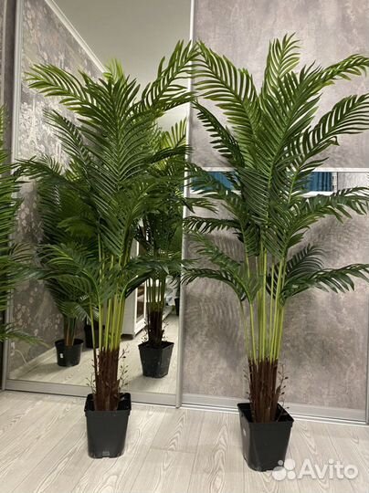 Искусственные деревья. Искусственные пальмы
