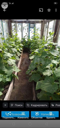 Участок 4,6 сот. (СНТ, ДНП)