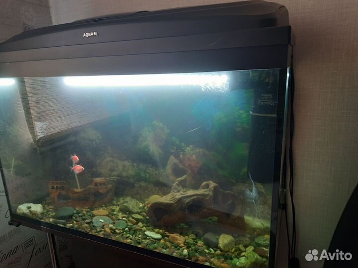 Аквариум