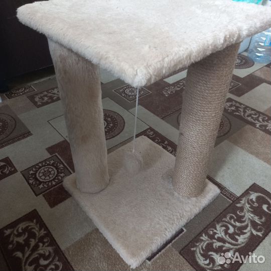 Когтеточка