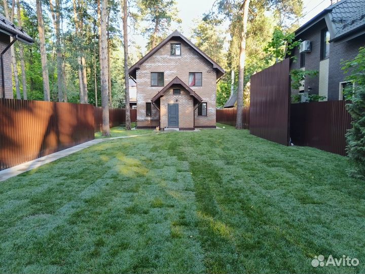 Рулонный газон