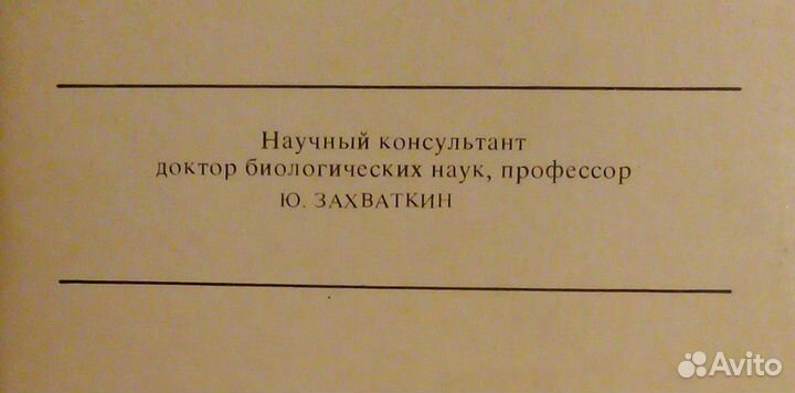 Набор открыток 