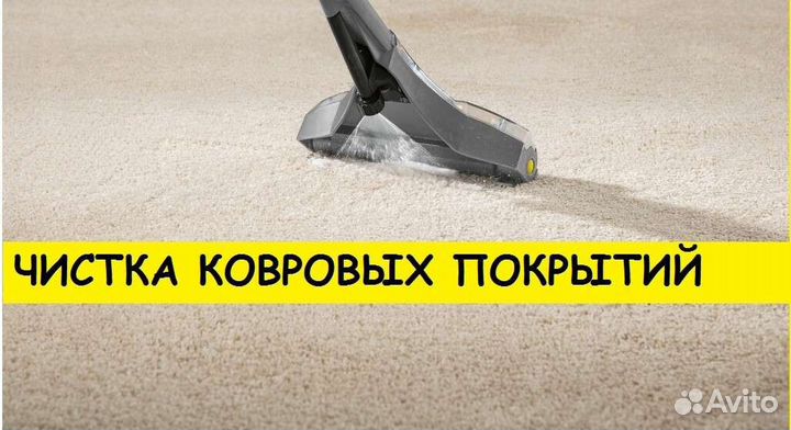 Аренда моющего пылесоса karcher и пароочистителя