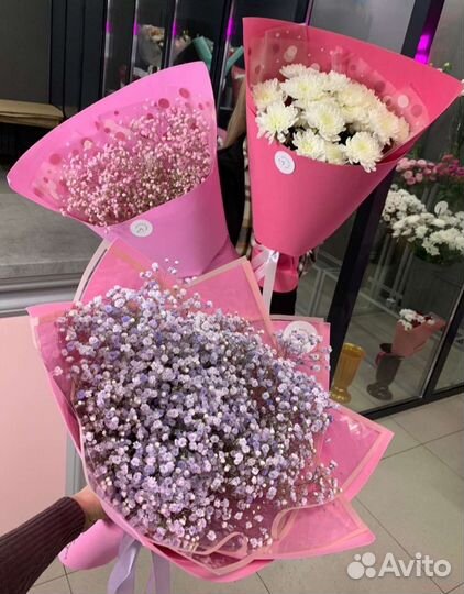 Цветы гипсофила букет