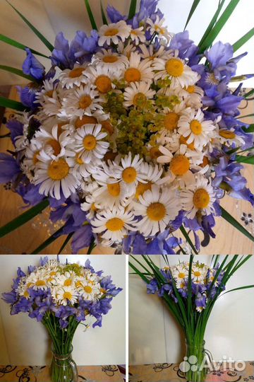Букеты из ромашек