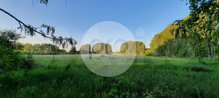 Участок 20 сот. (ИЖС)