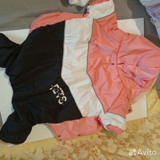 Одежда для собак мелких и средних пород