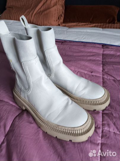 Полусапоги Челси mango 38 размер