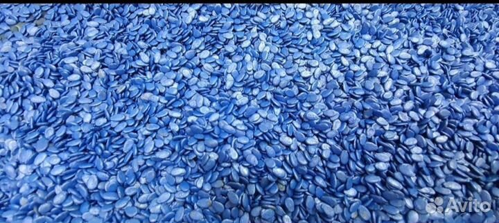 Каристан семена арбуза