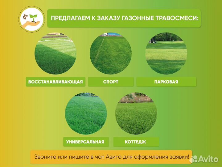 Семена желтого донника