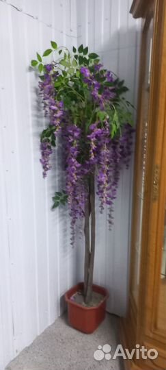 Вистерия Растение искуственное в горшке