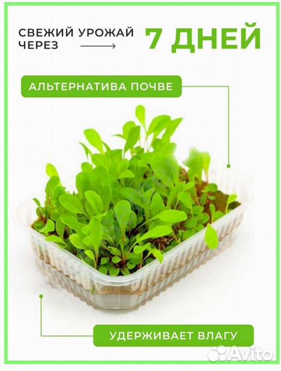 Набор для выращивания микрозелени