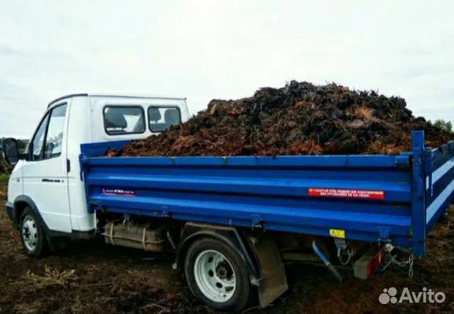 Перегной Навоз