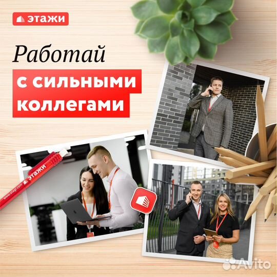 Риелтор (обучение с нуля)