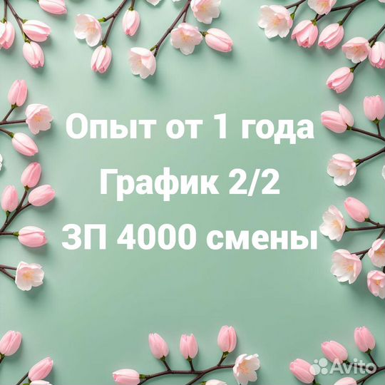 Ночной продавец-флорист с графиком 2/2