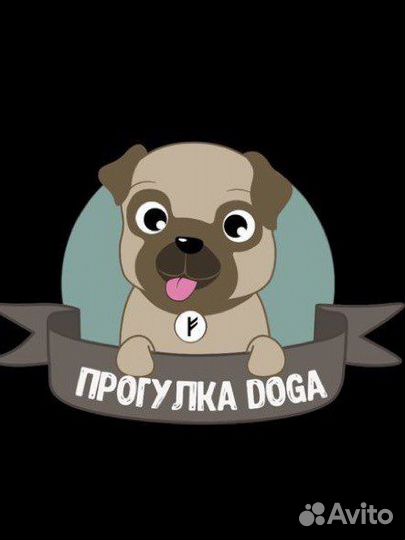 Выгульщик собак