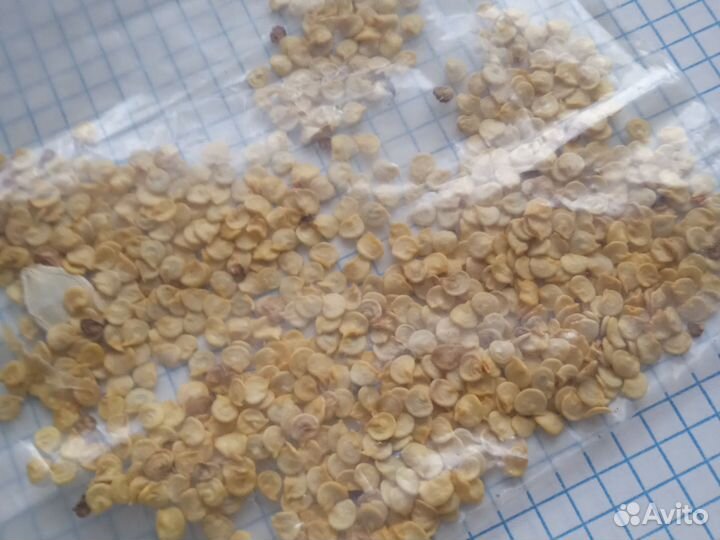 Перец красный семена