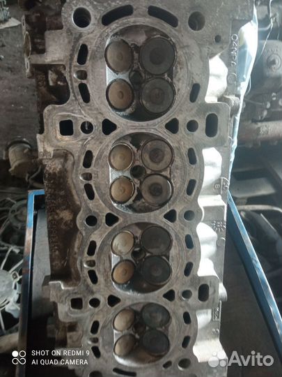 Гбц ford focus 2 1.6 100 л shda