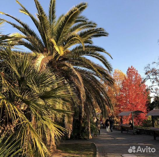 Джип тур, экскурсия в Абхазию, всё включено
