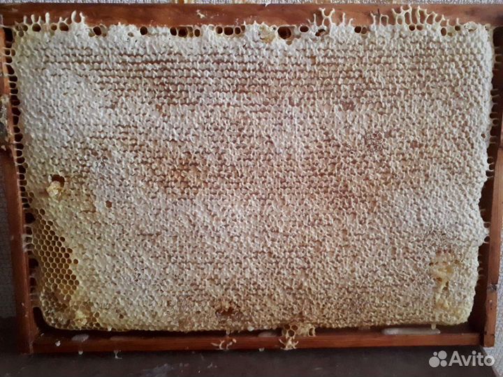 Мёд натуральный