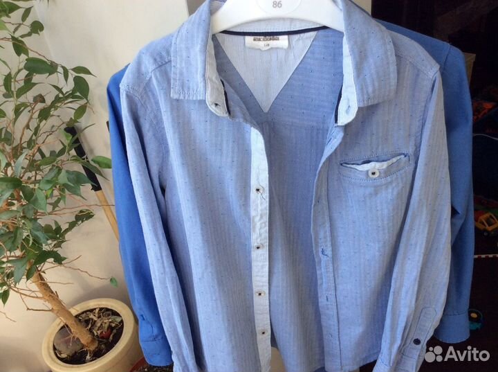 Школьные рубашки, поло, жилет acoola