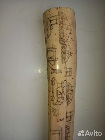 Клык Моржа (Имитация)