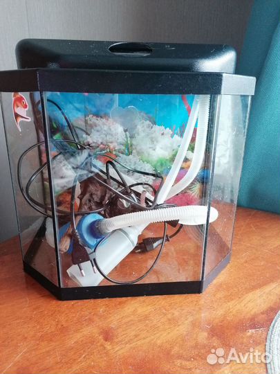 Аквариум