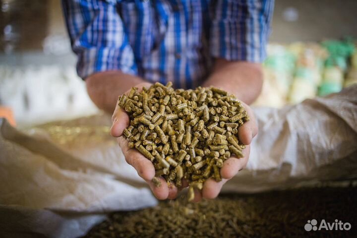Комбикорма для птиц и с/х животных опт