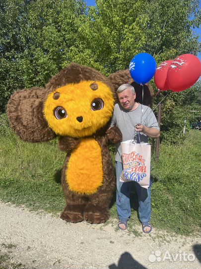 Белый мишка, зайка, чебурашка на праздник