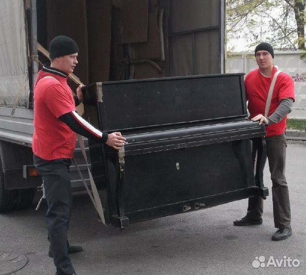 Переезды / Грузоперевозки / Грузчики