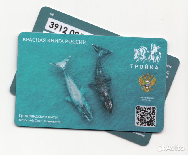Коллекционные карты тройка Красная книга. Киты