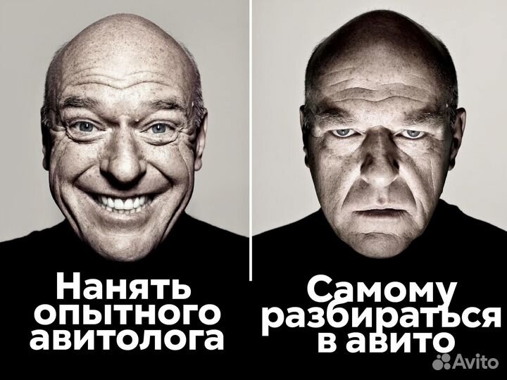 Авитолог / Услуги авитолога